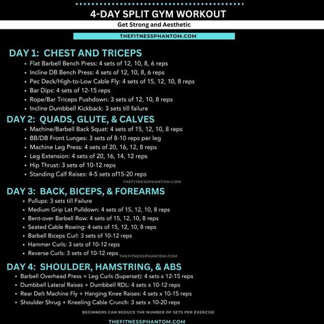 The 4-day workout split focuses on all major muscle groups within a week. It allows ample recovery time between workouts, which is crucial for building muscle and avoiding injury. The 4-day workout split can be customized to fit your fitness level and goals, with the ability to adjust weights and reps as needed. Full Routine: https://thefitnessphantom.com/4-day-gym-workout-schedule-for-gain 4 Day Split Workout Women, Workout Split Schedule, 4 Day Workout Split, Best Chest Workout Routine, 4 Day Split Workout, Weight Lifting Schedule, Gym Workout Schedule, 4 Day Workout, 3 Day Workout