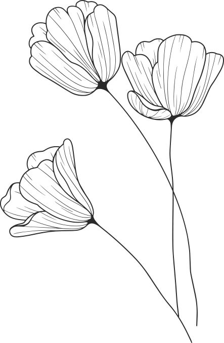 Boho Flowers Drawing, Abstract Flowers Drawing, Line Art Drawings Flowers, Canvas Print Ideas, Flower Design Drawing, A Flower Drawing, Flower Draw, Flower Drawing Easy, Floral Design Drawing