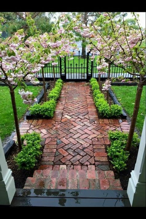 Courtyard Landscaping, Walkway Landscaping, Brick Path, Brick Walkway, Pathway Landscaping, Walkways Paths, Front Yard Design, Easy Landscaping, Cottage Gardens