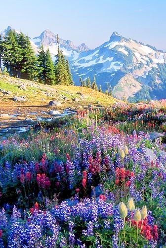 "Shout for joy, O heavens; rejoice, O earth; burst into song, O mountains!"  Isaiah 49:13 Vacation Memories, Have Inspiration, Alam Yang Indah, Yellowstone National, Yellowstone National Park, Pretty Places, In The Mountains, Vacation Spots, Wyoming