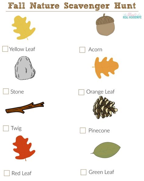 Fall Nature Scavenger Hunt Toddler Fall Scavenger Hunt, Fall Scavenger Hunt Preschool, Fall Nature Scavenger Hunt, Fall Scavenger Hunt For Kids, Scavenger Hunt For Toddlers, Nature Scavenger Hunt For Kids, Nature Walk Scavenger Hunt, November Lesson Plans, Preschool Scavenger Hunt