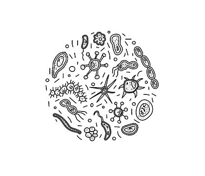 Bacteria Drawing, Bacteria Cell, Cell Drawing, Round Png, Video App, Banner Template, Hd Images, Clipart Images, Png Clipart