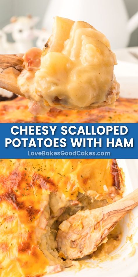 Cheesy Scalloped Potatoes and Ham pin collage Scalloped Potatoes And Ham Recipes, Scalloped Potatoes And Han, Easy Cheesy Scalloped Potatoes And Ham, Ham And Cheesy Scalloped Potatoes, Ham And Potatoes Casserole Recipes, Ham And Cheese Potato Bake, Cheese Scalloped Potatoes And Ham, Instapot Scalloped Potatoes And Ham Easy, Augratin Cheesy Potatoes With Ham