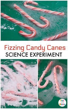 Winter Decor After Christmas Diy Crafts, Candy Cane Experiment Preschool, Baking Soda Experiments, Candy Cane Science, Christmas Science Experiments, Science Homeschool, Winter Science, Experiment For Kids, Experiments Kids