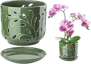 BUYMAX 6.9 Inch Orchid Pots with Holes & Saucers for Orchid Root Health, Ceramic Orchid Planter, Effective Drainage and Ventilation to Assist New Plants or Repotting - Patina Ceramic Orchid, Orchid Pots, Plants In Jars, Orchid Roots, Orchid Planters, Orchid Pot, The Orchid, Ceramic Flower Pots, Orchid Care