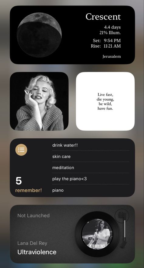 Classy Widget Ideas, Iphone Aesthetic Setup, Dark Feminine Homescreen, Elegant Homescreen, Iphone Home Screen Layout Minimalist, Dark Iphone Aesthetic, Elegant Widgets, I Phone Layout Ideas, Phone Inspiration Layout