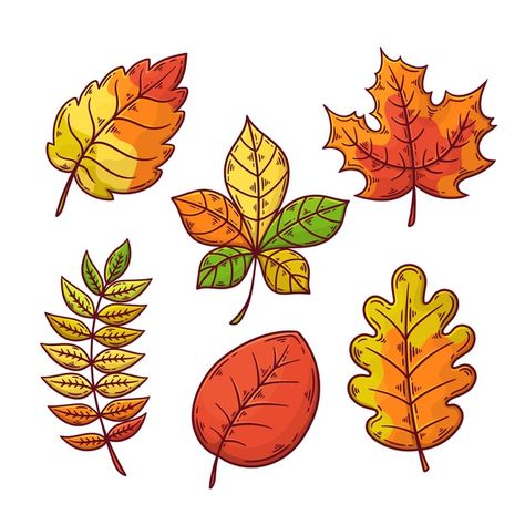 Discover thousands of free-copyright vectors on Freepik Leaf Drawing Easy, Fall Leaves Drawing, Autumn Doodles, Fall Illustration, Drawing Themes, Leaves Doodle, Collection Drawing, Autumn Leaves Background, Autumn Leaves Craft