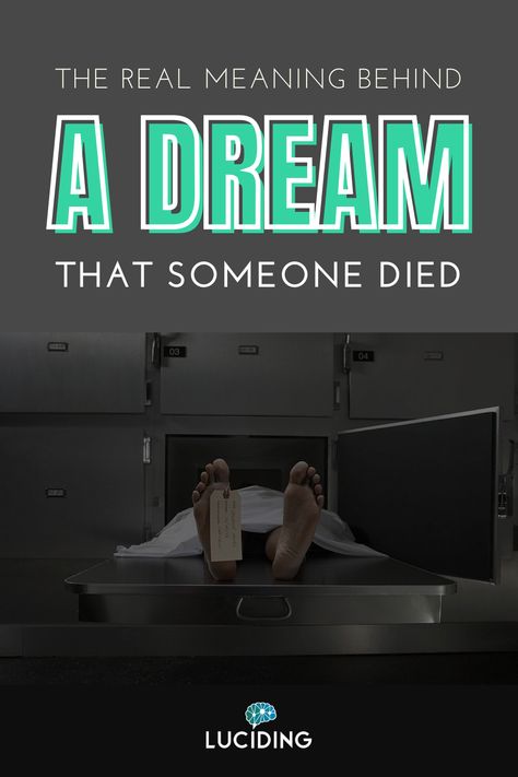 The Basics of Death Dreams. A Dream That Someone Died – Interpretations Revealed. What To Do About a Dream That Someone Died. Feeling Uneasy, Psychic Dreams, Dream Dictionary, When Someone Dies, Dream Symbols, Dream Meanings, Printable Checklist, Dream Journal, Dream Interpretation