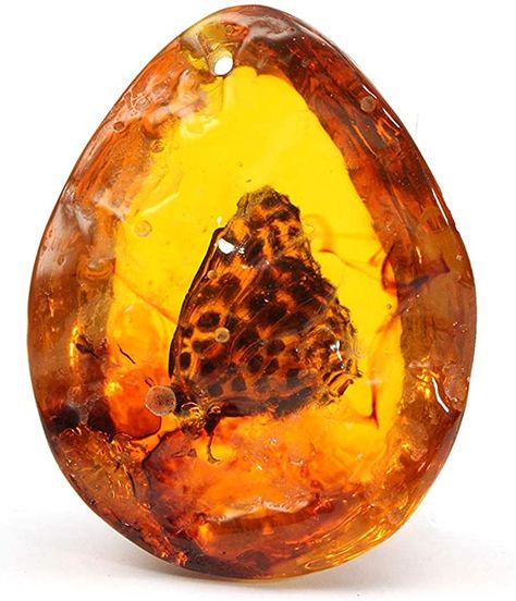 Diy Jewelry Pendants, Beautiful Pendant Necklace, Amber Fossils, Orange Crystals, Natural Amber, Amber Stone, Luz Natural, Stone Pendant Necklace, Necklace Gemstone