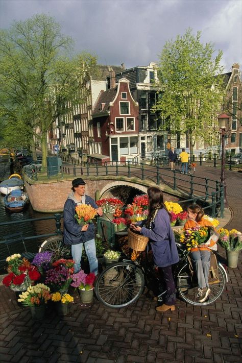 Tulips In The Netherlands, Tulip Festival Netherlands, Amsterdam Tulip Festival, Tulip Festival Amsterdam, Amsterdam January, Dutch Aesthetic, Tulips Amsterdam, Summer Amsterdam, Amsterdam Living