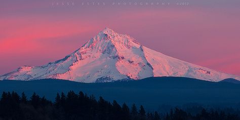 Mount Hood - Sunset Nature, Mountain Pictures, Acrylic Nail Shapes, Camping Places, Mount Hood, Mt Hood, Mountain River, Green Earth, Floral Oil Paintings