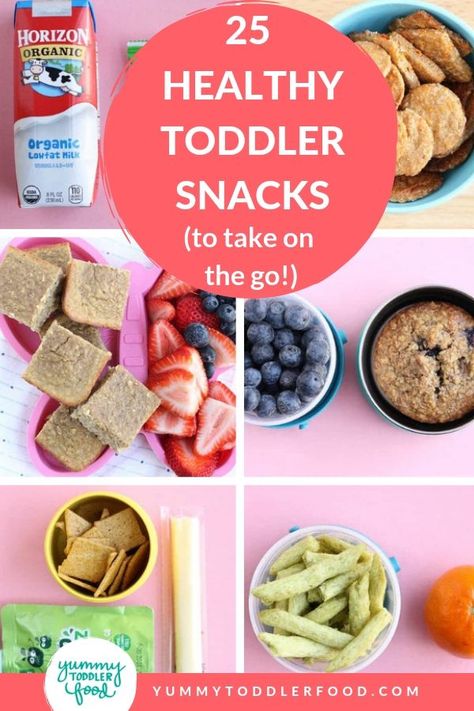 Homemade Toddler Snacks, Easy Toddler Snacks, Healthy Travel Snacks, Healthy Toddler Snacks, Organic Fruits, Toddler Lunches, Preschool Snacks, Travel Snacks, Healthy Toddler Meals