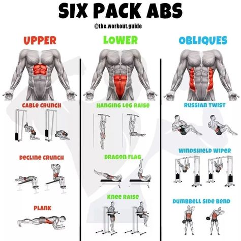 Abs Workout With Dumbbells, Workout Gym Routine, Gym Workout Guide, Best Gym Workout, Workout Program Gym, Gym Workout Planner, Bodybuilding Workout Plan, Gym Workout Chart, Abs Workout Gym