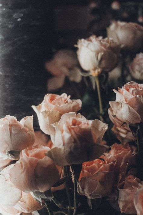 Vogue Vintage, Earthy Aesthetic, Rose Images, Romantic Lighting, Vintage Theme, Picture Collage, Aesthetic Images, Nature Images, Retro Aesthetic