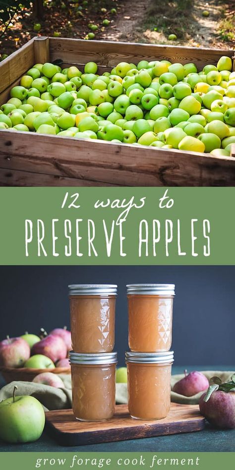 When it's fall and you have an apple tree, you may be wondering how to preserve apples for the rest of the year. Canning and freezing are popular, but there are so many ways you can preserve apples including apple butter, jam, cider and so much more! Learn about 12 methods for preserving apples! Apples Canning, Can You Freeze Apples, Apple Recipes For Canning, Preserve Apples, Preserving Apples, Drying Fruit, Canned Veggies, Canned Salsa, Using Apples