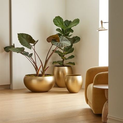 Indoor Planters & Terrariums | West Elm Gold Planter, Decorating Bookshelves, Salon Suites, Indoor Outdoor Planter, Modern Planters, Planter Stand, Metal Floor, Style Deco, Pot Designs