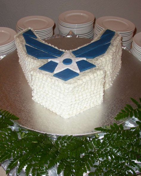 Air Force Groom's cake Air Force Love, Air Force Birthday, Quince Party, Air Force Wedding, Military Cake, Air Force Families, Airforce Wife, Military Homecoming, Air Force Mom