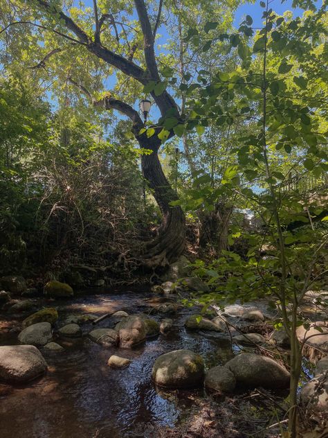 Changing Aesthetic, Life In Paradise, Ashland Oregon, Life Vibes, Manifestation Board, Summer Trip, Cool Fits, Beautiful Life, Summer Travel