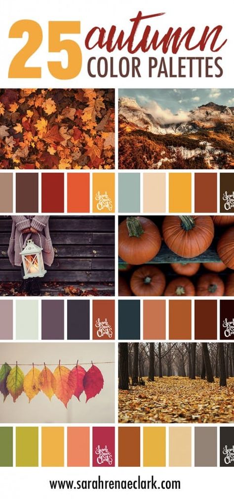 Autumn Decor Color Palette, Color Pallets Inspiration For Home, Fall Cookie Color Palette, Fall Palette Colour Schemes, Orange Wood Color Palette, Fall Color Palate, Fall Color Palette Home, Fall Color Bedroom Ideas, Fall Decor Color Schemes