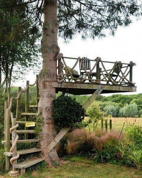 Tree house decor