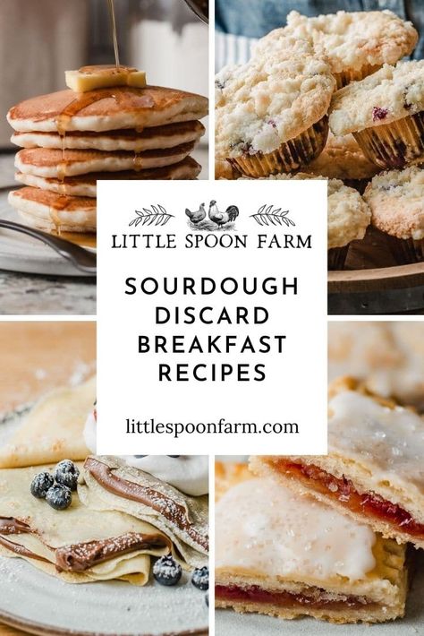 Sour Dough Pancakes Recipe, Best Sourdough Cookbooks, Sour Dough Discard Breakfast Recipes, Sourdough Discard No Wait, Simple Sourdough Discard Pancakes, Sour Dough Recipes Using Starter, Sharing Sourdough Starter, Sour Dough Breakfast Recipes, Easy Sourdough Discard Breakfast Recipes