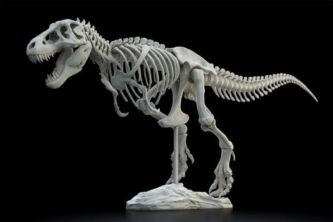 T Rex Skeleton, Sculpture Reference, Fdm Printer, Dynamic Pose, Animal Anatomy, Dynamic Poses, Deviant Art, T Rex, Drawing Reference