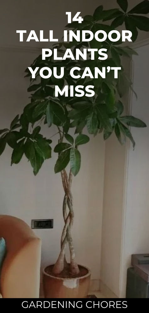 Transform Your Space: 14 Gorgeous Tall Indoor Plants for Ultimate Green Living 🏡🌿 Tall Low Maintenance Plants Indoor, Trees For Office, Indoor Plant Pot Ideas Living Rooms, Indoor Plant Bedroom Ideas, Tree In The Living Room, Indoor Plant Decor Ideas Living Room, Home Tree Plant, Large Bedroom Plants, Big Interior Plants