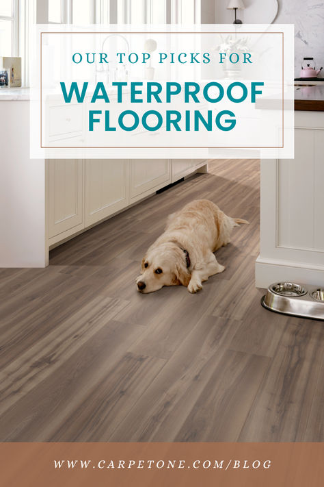 best-waterproof-flooring-options Waterproof Bathroom Flooring Ideas, Waterproof Bathroom Flooring, Floor Options, Pet Friendly Flooring, Best Vinyl Flooring, Waterproof Laminate Flooring, Laundry Room Flooring, How To Waterproof Wood, Modern Tiles