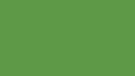 Bredon Green Solid Color Background Image | Free Image Generator Lime Green, Green, White, Color