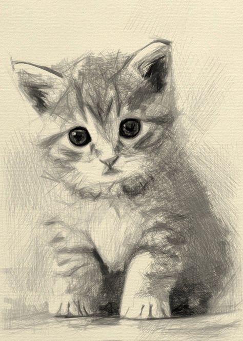 cat drawing simple, pencil drawing, cat drawing face, cat drawing reference, cats drawing reference, cat images, cat pictures, cat drawing tutorial, cat drawing ideas, cute cat, cat drawings simple, cat hand drawing, cat drawing realistic, cat eye drawing, cat drawing sketches, drawing cat Realistic Cat Drawing, Cat Face Drawing, Realistic Animal Drawings, Cats Art Drawing, Cat Coloring Book, Hand Drawn Portraits, Lily Painting, Custom Cat Portrait, Cute Cat Drawing