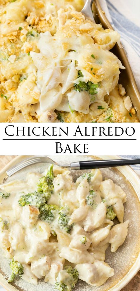 Cheesy Chicken Alfredo, Use Rotisserie Chicken, Chicken Alfredo Casserole, Alfredo Bake, Chicken Alfredo Bake, Chicken Broccoli Alfredo, Chicken Alfredo Recipes, Lasagna Rollups, Leftover Rotisserie Chicken