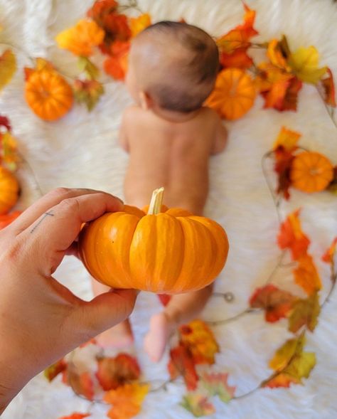 Fall Baby Picture Ideas, Halloween Baby Pictures, Baby Picture Ideas, Fall Baby Photos, Baby Holiday Photos, Fall Baby Pictures, Photo Halloween, Baby Milestones Pictures, Monthly Pictures