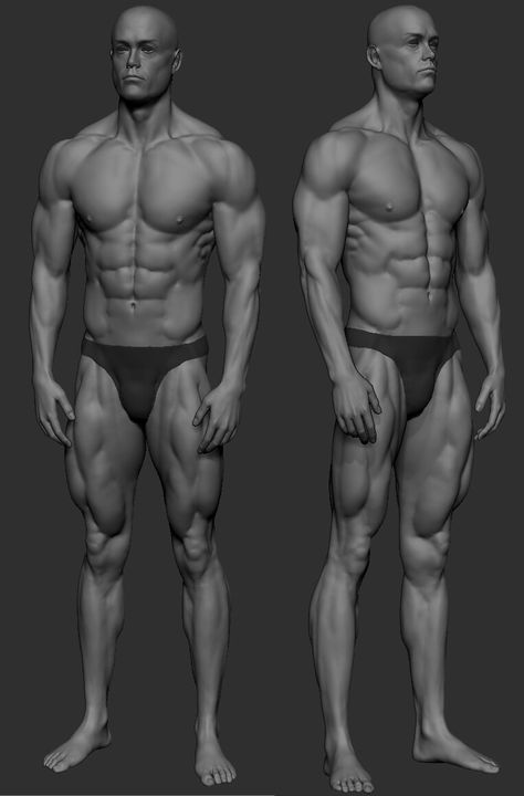 ArtStation - man, max zin Drawing Reference Muscles, Male Arm Muscle Reference, Deltoid Reference, Muscular Man Anatomy Drawing, Buff Male Anatomy, Muscular Torso Reference, Buff Guy Pose, Man Anatomy Reference, Men Anatomy Reference