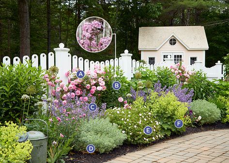 Cottage Garden Charm: Old-fashioned flowers, a custom white picket fence, and colorful containers make this charming cottage garden a spot you never want to leave! Heat Tolerant Flowers, New England Cottage, Cottage Backyard, Diy Rose, Cottage Garden Design, Cottage Garden Plants, English Cottage Garden, White Picket Fence, Charming Garden