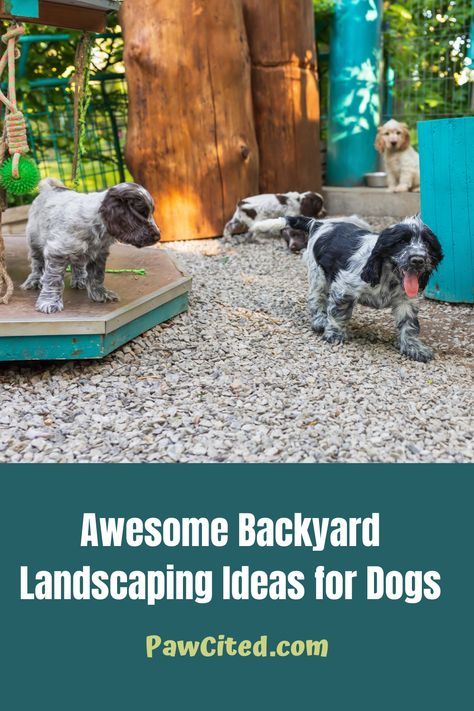 Backyard Play Area For Dogs, Dog Paradise Backyard, Doggie Area In Backyard, Play Yard For Dogs, Backyard Playground For Dogs, Pea Gravel Backyard Dogs, Backyard Landscaping With Dog Area, Diy Dog Yard Ideas Backyards, Backyard Designs For Dogs