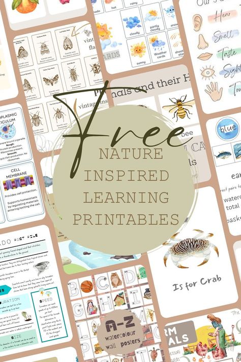 to help children learn about the natural world, including plants, animals, and the #Montessori #Preschool_Homeschool_Free_Printable #Free_Nature_Journal_Printables #Homeschool_Templates_Free_Printables Homeschool Templates Free Printables, Homeschool Preschool Free Printables, Preschool Homeschool Units, Nature Alphabet Letters Printable Free, Nature Based Homeschooling, Montessori Home School, Free Elementary Printables, Homeschool Nature Activities, Free Homeschooling Resources