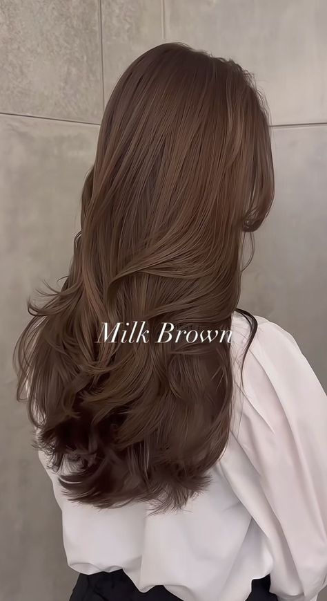 Coco Brown Hair, Milky Brown Hair, Layers Korean, Blow Hair, Hair Color Asian, Korean Hair Color, Brown Hair Looks, Brown Hair Inspo, Hair Tint