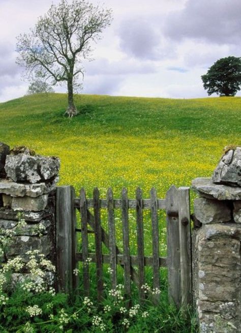 Old Garden Gates, Gate Photography, Old Wooden Fence, Wooden Fence Gate, Old Gates, Wooden Gate, Country Fences, Gate Way, Old Wooden Doors