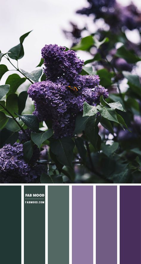 Blue , green and orange color scheme – Color Palette #57 1 - Fab Mood | Wedding Colours, Wedding Themes, Wedding colour palettes Wedding Colour Palettes, Lavender Color Palette, Fab Mood, Mood Wedding, Purple Color Combinations, Purple And Green Wedding, Green And Lavender, Purple Color Schemes, Wedding Colors Purple