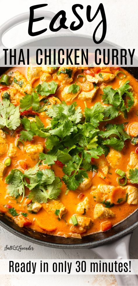 Thai Chicken Curry With Coconut Milk, Easy Thai Chicken, Coconut Curry Chicken Recipes, Thai Red Curry Recipe, Coconut Broth, Red Curry Recipe, Thai Curry Recipes, Coconut Curry Recipes, Thai Chicken Curry