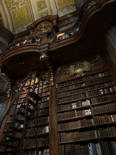 Dark Academia Library, Dream Library, Chaotic Academia, Library Architecture, Old Library, Library Aesthetic, Hogwarts Houses, Dark Academia Aesthetic, Safe Haven