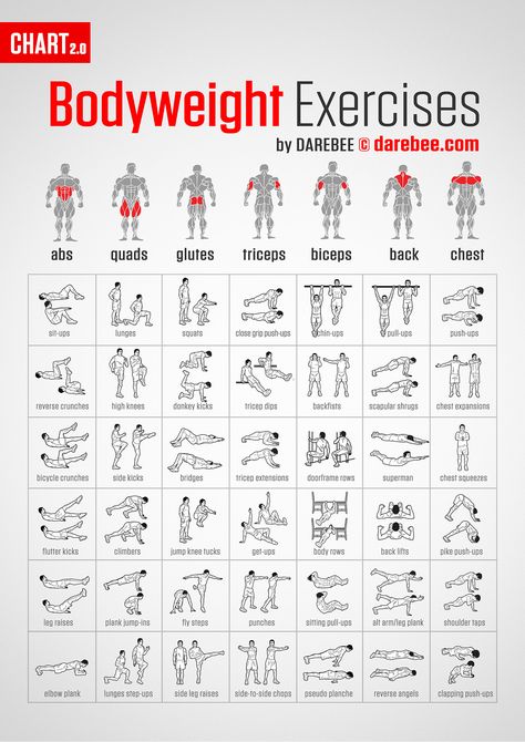 Crossfit Workouts For Beginners, Plank Shoulder Taps, Back Lift, Crossfit At Home, Reverse Crunches, Tricep Dips, Bodyweight Exercises, Bicycle Crunches, Workout Chart