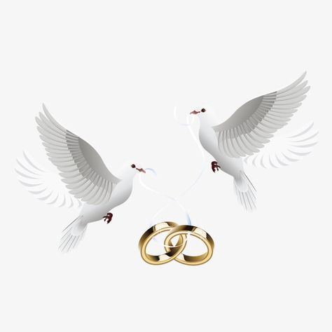 Wedding Ring Background, Ring Png, Decoupage Wedding, Islamorada Wedding, White Wedding Ring, Wedding Doves, Big Wedding Rings, Wedding Rings Art, Wedding Invitation Background