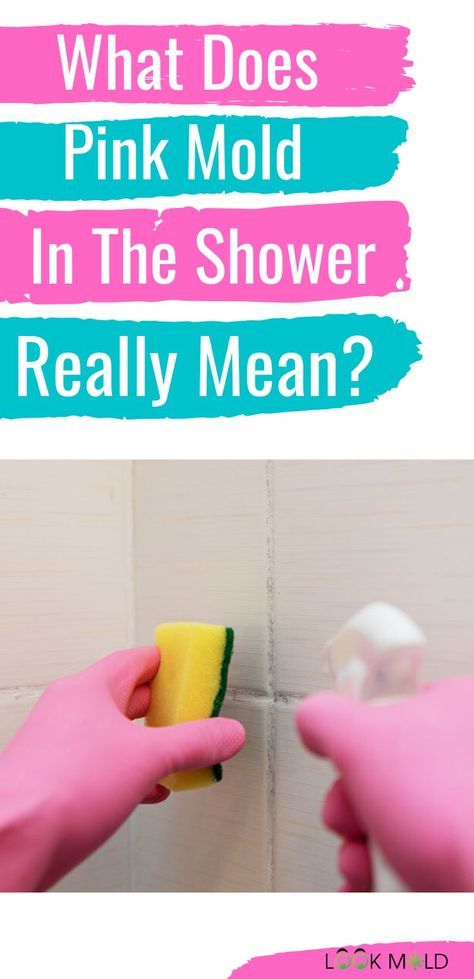 Pink mold in the shower isn't always mold. It can actually be bacteria. While it may not get you real sick there are certain facts you need to know about cleaning pink mold in the shower. #pinkmold #showercleaning #bathroomcleaningtips #bathroomcleaning #cleaning Remove Mold From Shower, Pink Mold, Shower Mold, Shower Grout, Glamorous Bathroom Decor, Toxic Mold, Mold In Bathroom, Cleaning Mold, Pink Showers