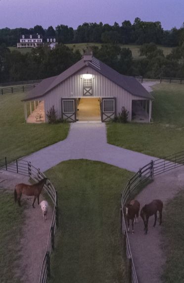 Pasture Shelter, Luxury Horse Barns, Horse Stables Design, Dream Barn Stables, Equestrian Barns, Equestrian Building, Morton Building, Horse Barn Designs, Horse Shelter