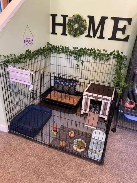 Cute Indoor Bunny House, Dog Crate Rabbit Cage Diy, Bunny X Pen Set Up, Pet Cage Ideas Dogs, Indoor Rabbit Setup Bunny Cages, Dog Kennel Rabbit Cage, Rabbit Enclosure Indoor Ideas, Cute Dog Cage Ideas, Bunny Pens Indoor