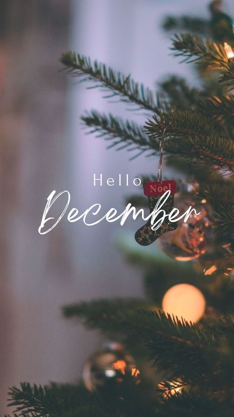 1 December Wallpaper, Hello December Wallpaper Christmas, Hello December Aesthetic, December Wallpaper Christmas, Hello December Wallpaper, December New Month, December Wallpaper Aesthetic, December Aesthetic Wallpaper, Hallo December