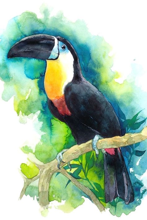 Akvarel Illustration, Bird Watercolor Paintings, Art Album, Watercolor Paintings Easy, 수채화 그림, Watercolor Art Lessons, Beginner Painting, Watercolor Drawing, Watercolor Bird