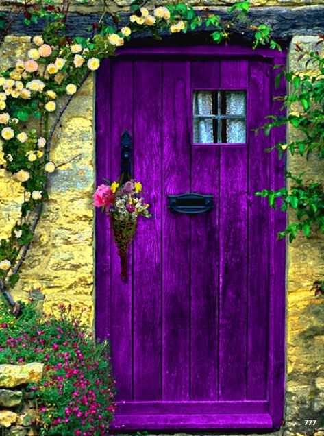 Purple Front Doors, Doors Garden, The Magic Faraway Tree, Unique Front Doors, Fence Plants, Purple Door, Gorgeous Doors, Front Door Entrance, Living Modern