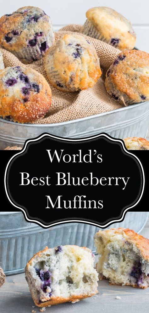 These blueberry muffins are everyone's favourite! Super easy to make with frozen berries, I always get asked for the recipe when I bring them somewhere!   #muffin #muffins #blueberry #blueberries #blueberrymuffin #snack #recipe #delicious #food Blueberry Muffin Bites, Blueberry Recipes Using Frozen Blueberries, Frozen Blueberry Breakfast Recipes, Costco Blueberry Muffin Recipe Copycat, Breakfast Omelette Muffins, Blueberry Buckle Recipe Easy, Nonperishable Food Meals, Copycat Costco Muffins, Fresh Blueberry Recipes Desserts